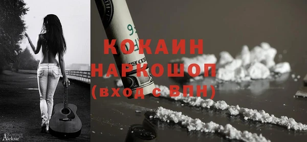 крисы Зеленокумск