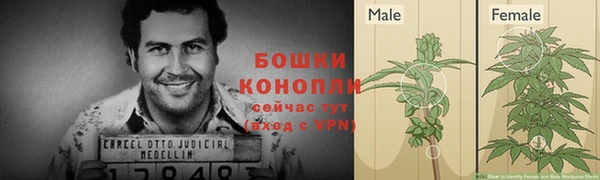 крисы Зеленокумск