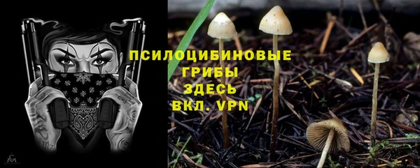 марки nbome Пролетарск