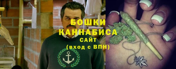 крисы Зеленокумск